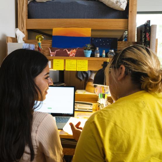 Students studying together in a dorm room